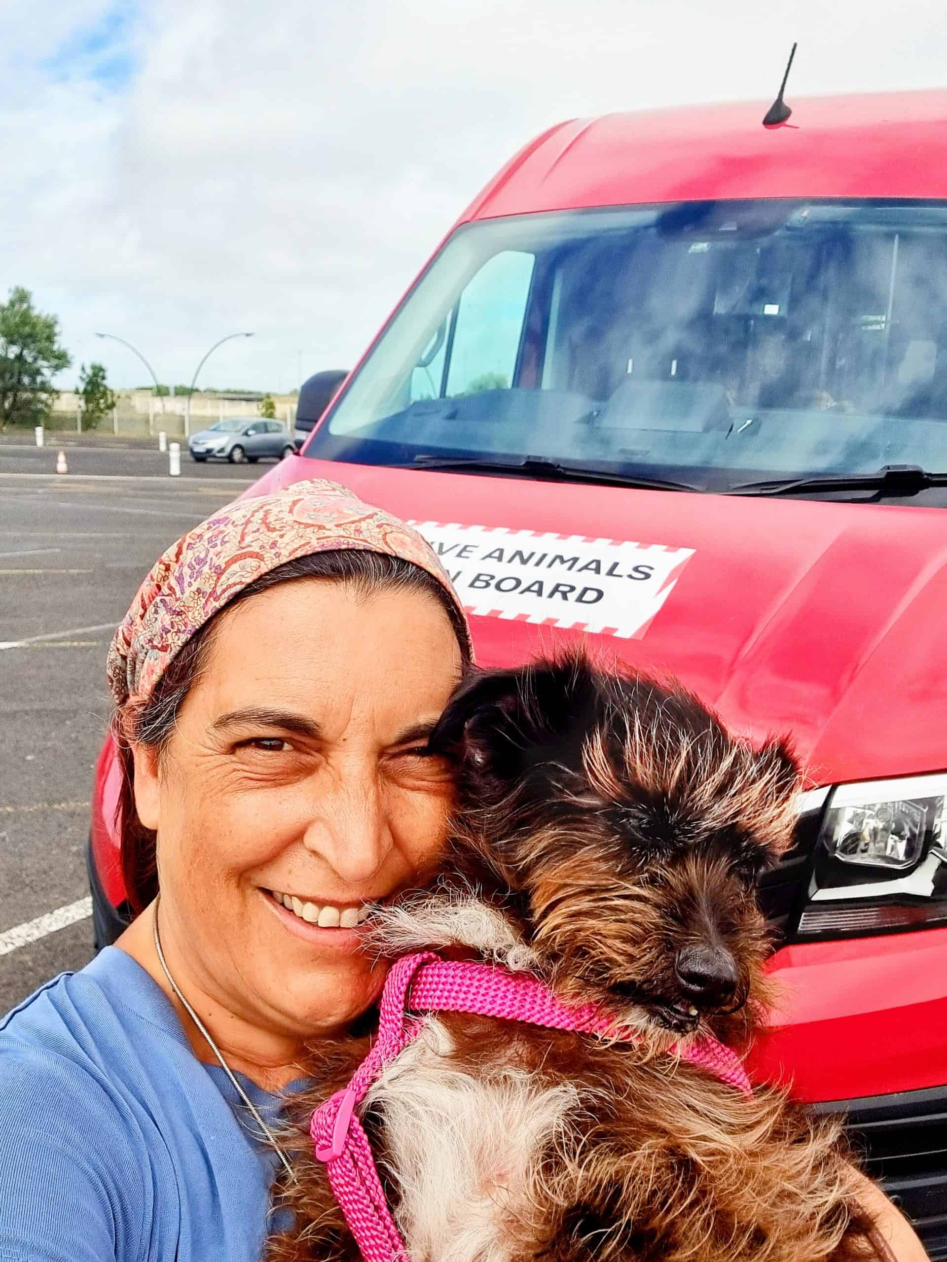 How to Cross from France to UK with Your Pet: Le Pet Express Review