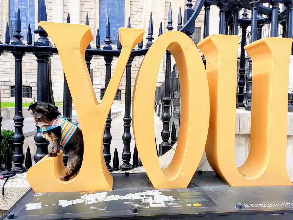 It’s all about YOU – Cookie inside the letter Y inspiring readers to leave a comment