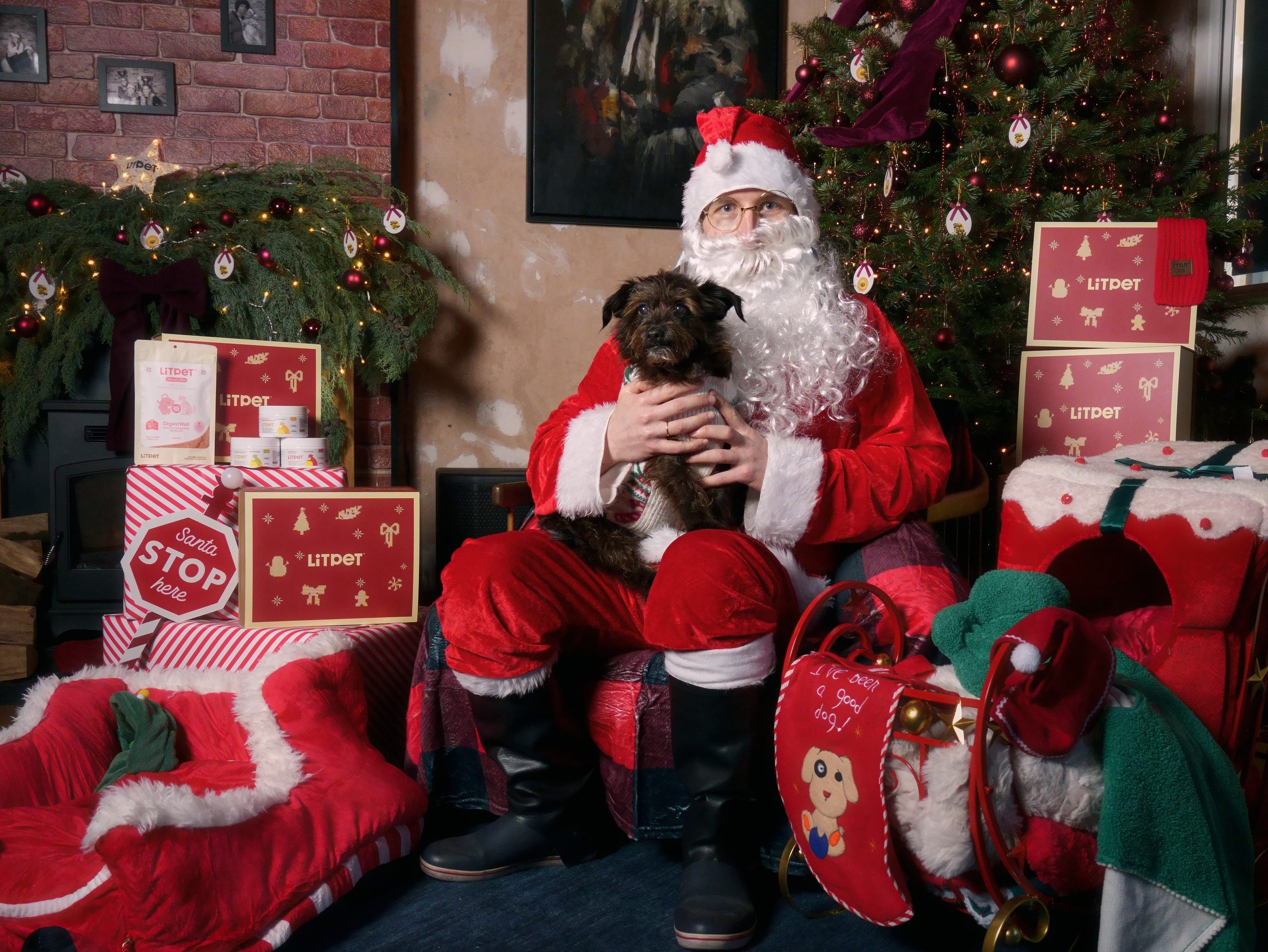Winter WOOF London: A Christmas Event for Dogs