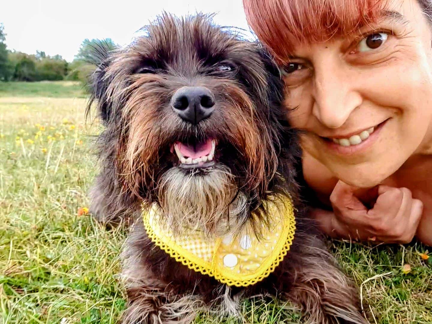 Pet-parenting lifestyle with Cookie in Sparks on Barks, showing a happy moment on the grass.