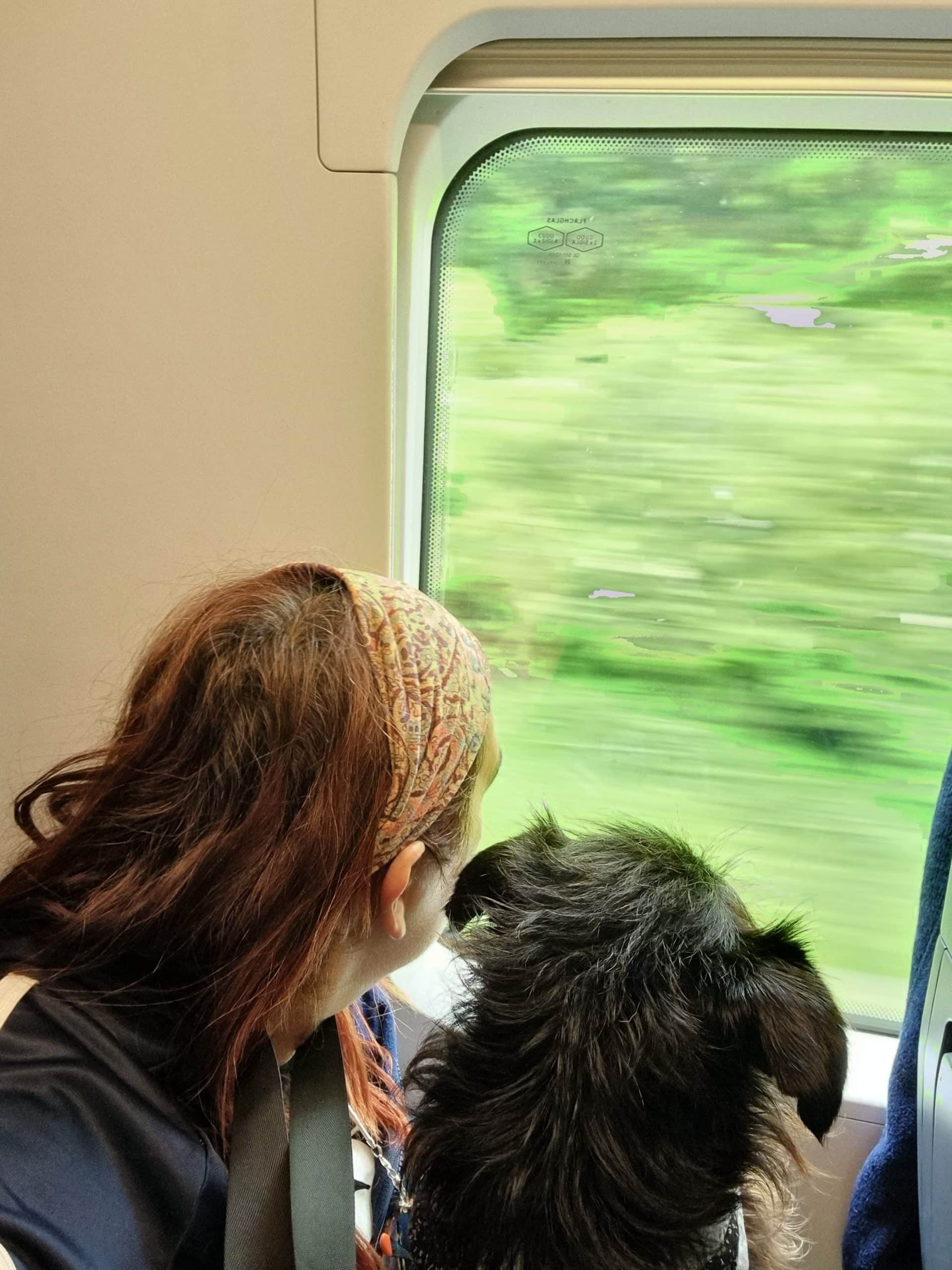 Bond between human and dog Cookie, quiet moment that explains why this blog exists