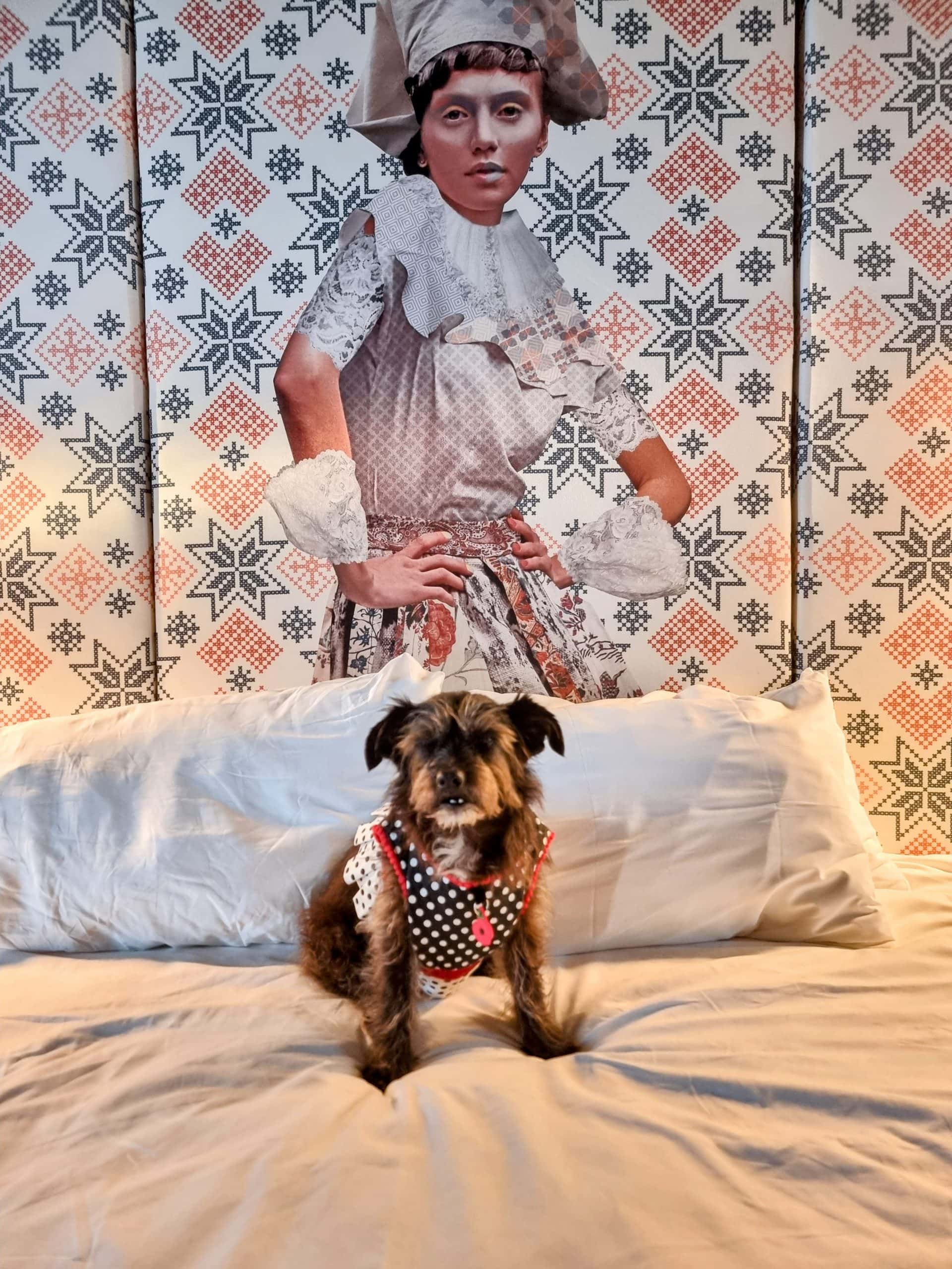 nhow Amsterdam RAI with a Dog: What It’s Really Like