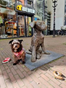 Rotterdam with a dog beside Fikkie statue showing pet etiquette