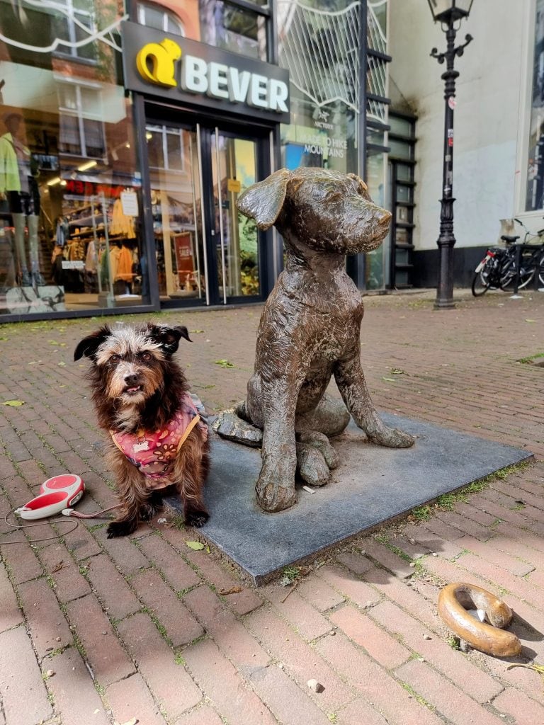 Rotterdam with a dog beside Fikkie statue showing pet etiquette