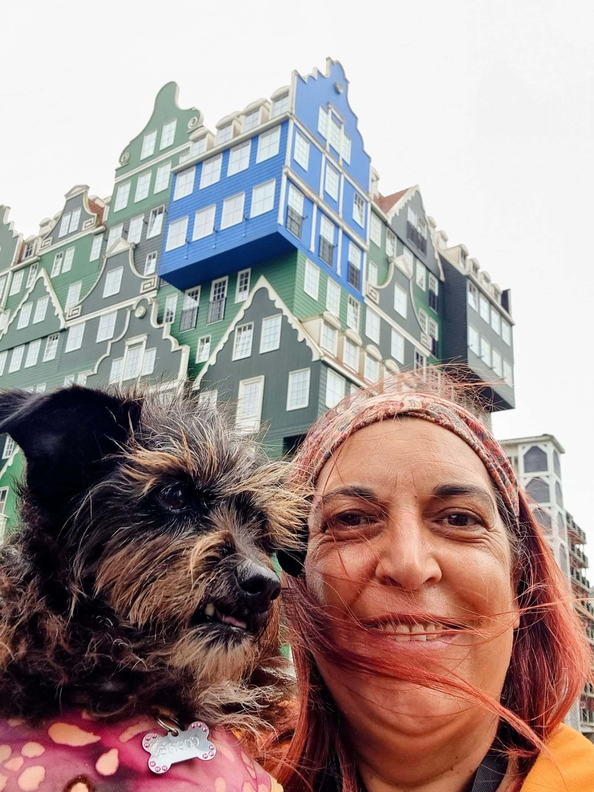 Is Dog-Friendly Zaandam Worth It? Easy Day Trip from Amsterdam