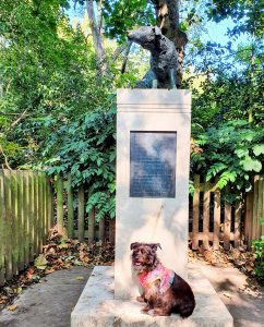Cookie sitting beside the Brown Dog memorial in Battersea Park.