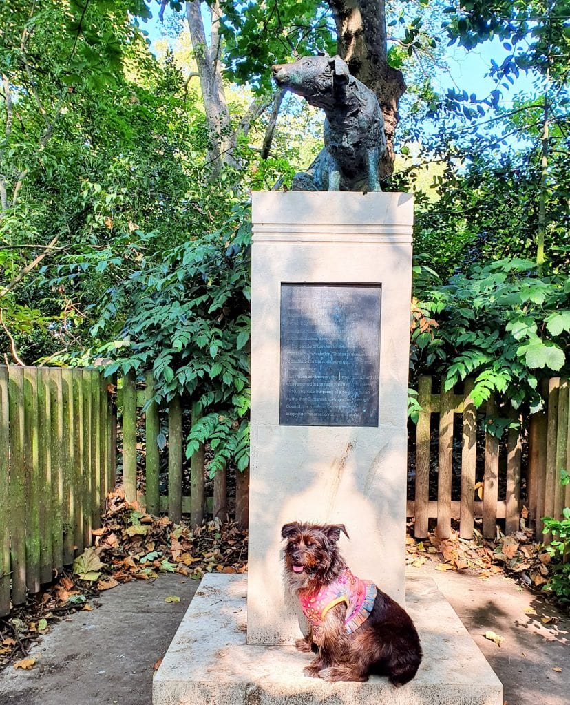 Cookie sitting beside the Brown Dog memorial in Battersea Park.